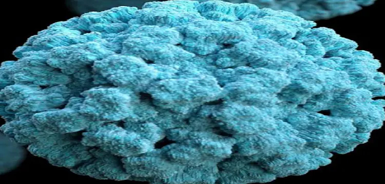 Norovirus in Kerala: Know how deadly Norovirus is, confirmed in 2 children of Kerala