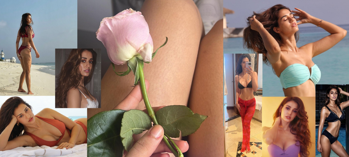 Disha Patani shared more bold pictures, people said- 'You rule the hearts'