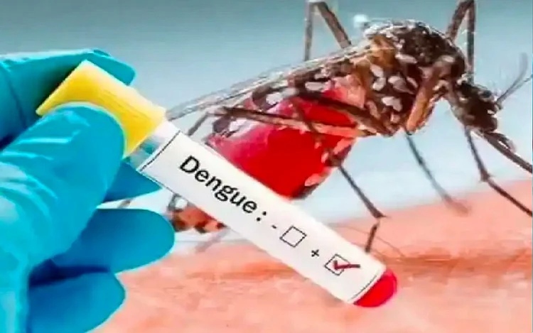 Dengue in Bihar