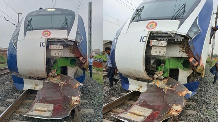 Vande Bharat Accident: 'Vande Bharat train' collided with a herd of animals,  front half blown off