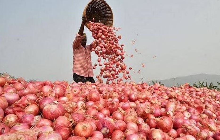 Onion prices