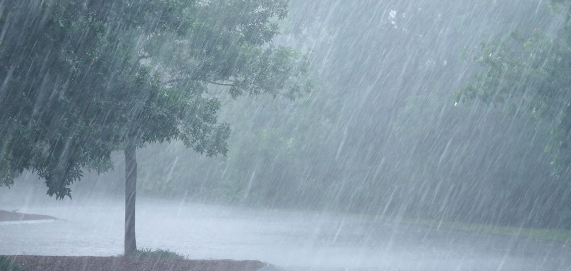 Unseasonal rain in Maharashtra
