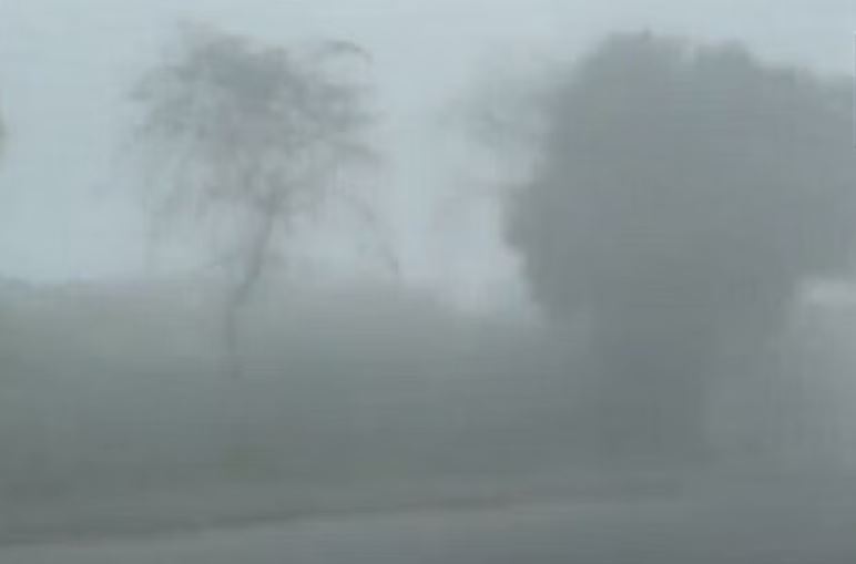 Fog in Delhi NCR