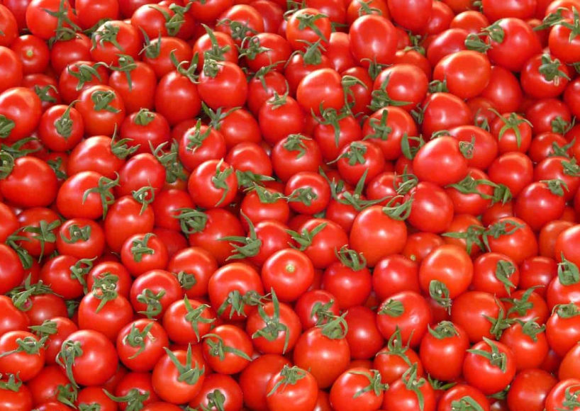 Tomato prices