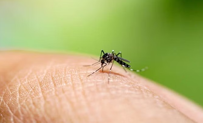 Dengue Alert in Delhi