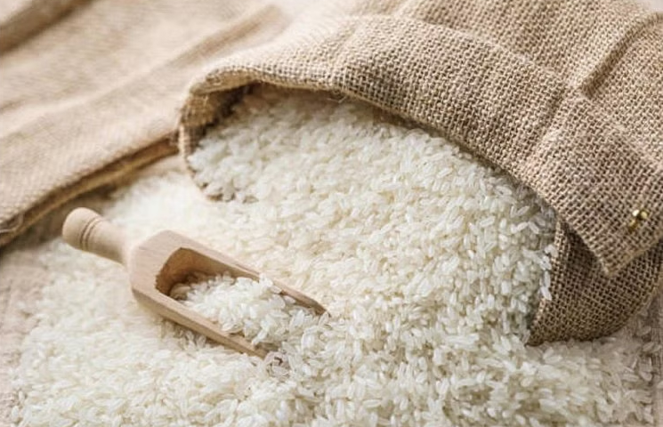 Non Basmati Rice Export Ban