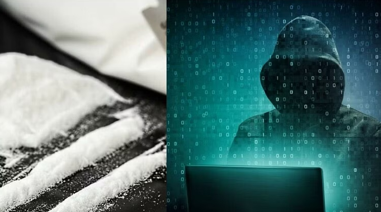 Drug smuggling network