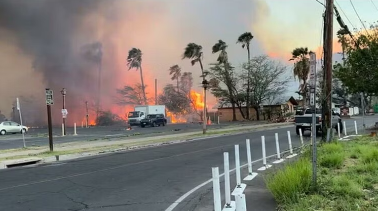 Fire broke out in forests of Hawaii