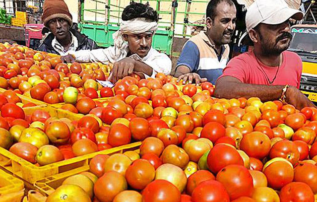 Tomatoes imported from Nepal