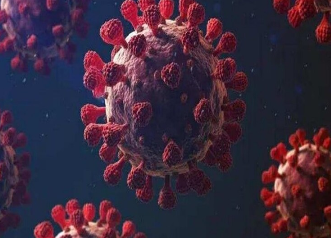 Covid 19 New Variant