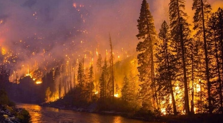 Canada wildfires in British Columbia