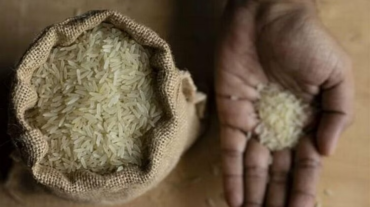 Rice exported to Singapore