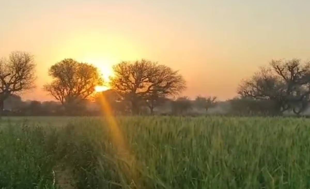 Weather Update Rajasthan Braces for More Rain and Thunderstorms