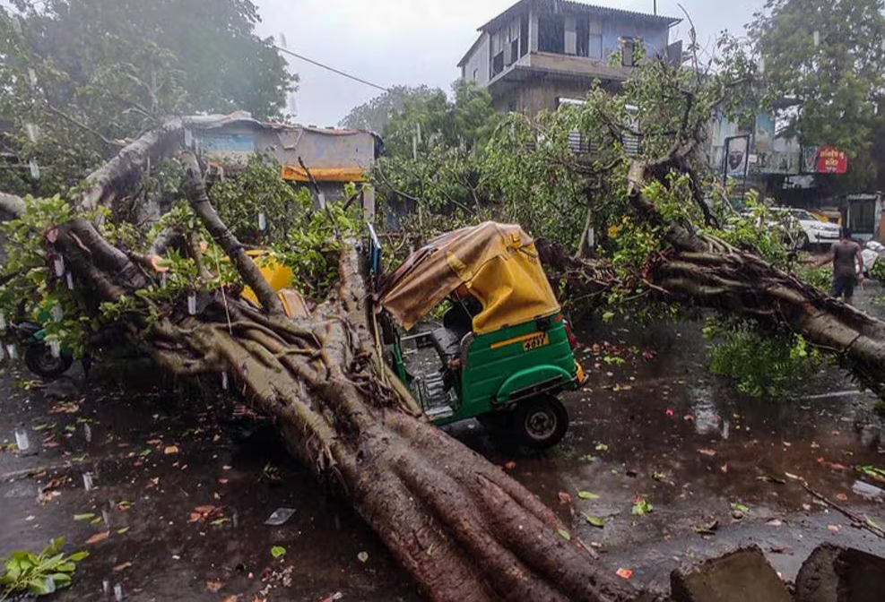 Tragic Accident Claims Woman Life as Tree Falls on Moving Bike in Koderma