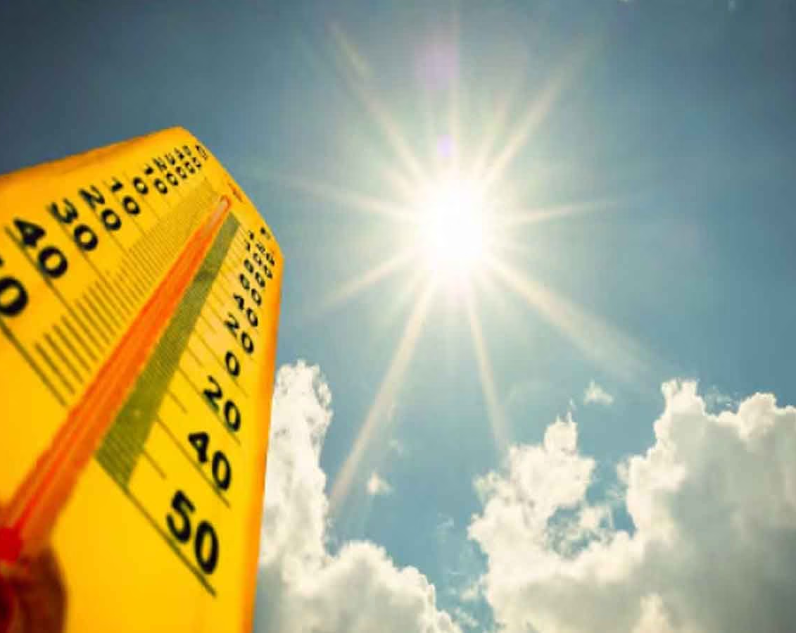 Gautam Buddha Nagar Police Install Green Nets on Noida Traffic Signals