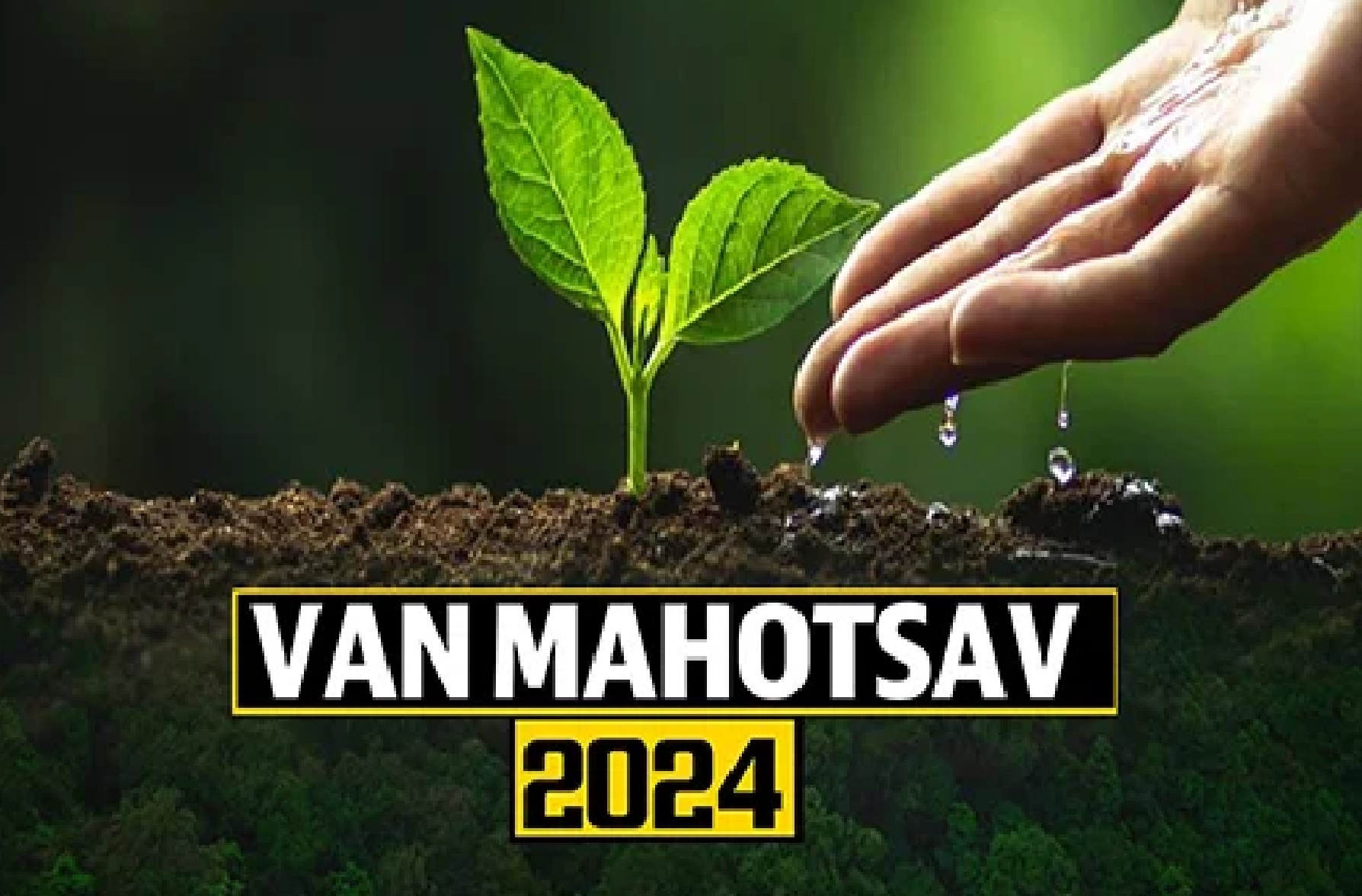 Van Mahotsav 2024 West Bengal to Celebrate Green Initiatives