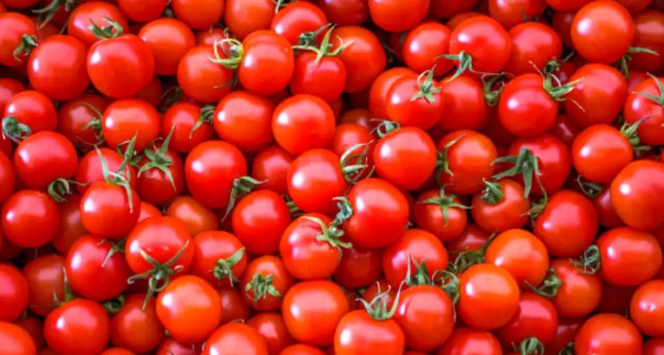 Tomato Prices Set to Fall in Delhi and Other Parts of India