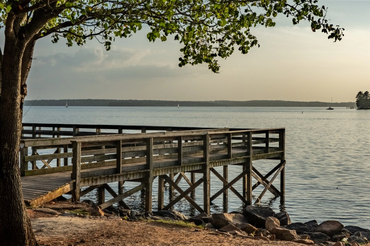 Ray hurt 20 people in beach of carolina del south 12 hospitalized
