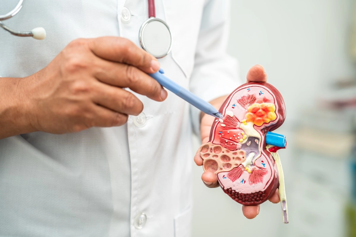 The Hispanic and renal transplants transplants between hope and the inequality