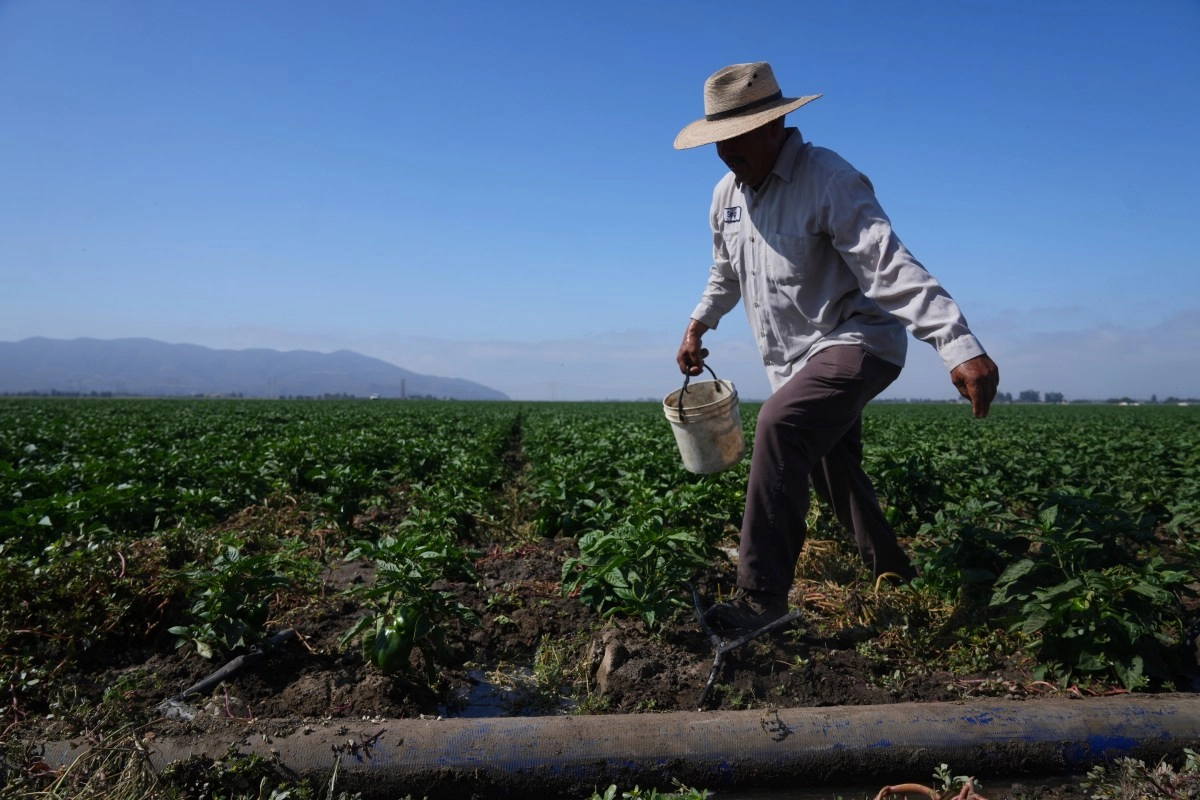 Workers agricultural advertise unemployment in protest by raids in California