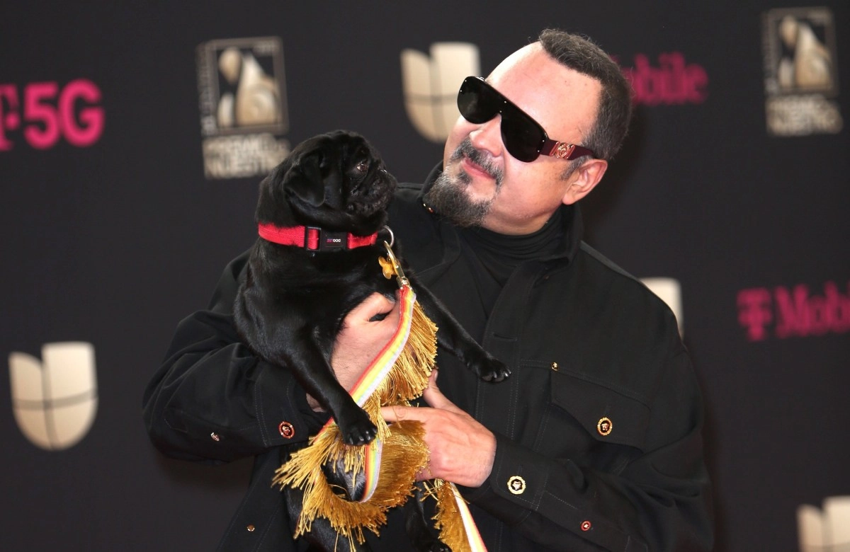 Son of Pepe Aguilar Cause controversy when comparing a his family with  dogs  in controversial image
