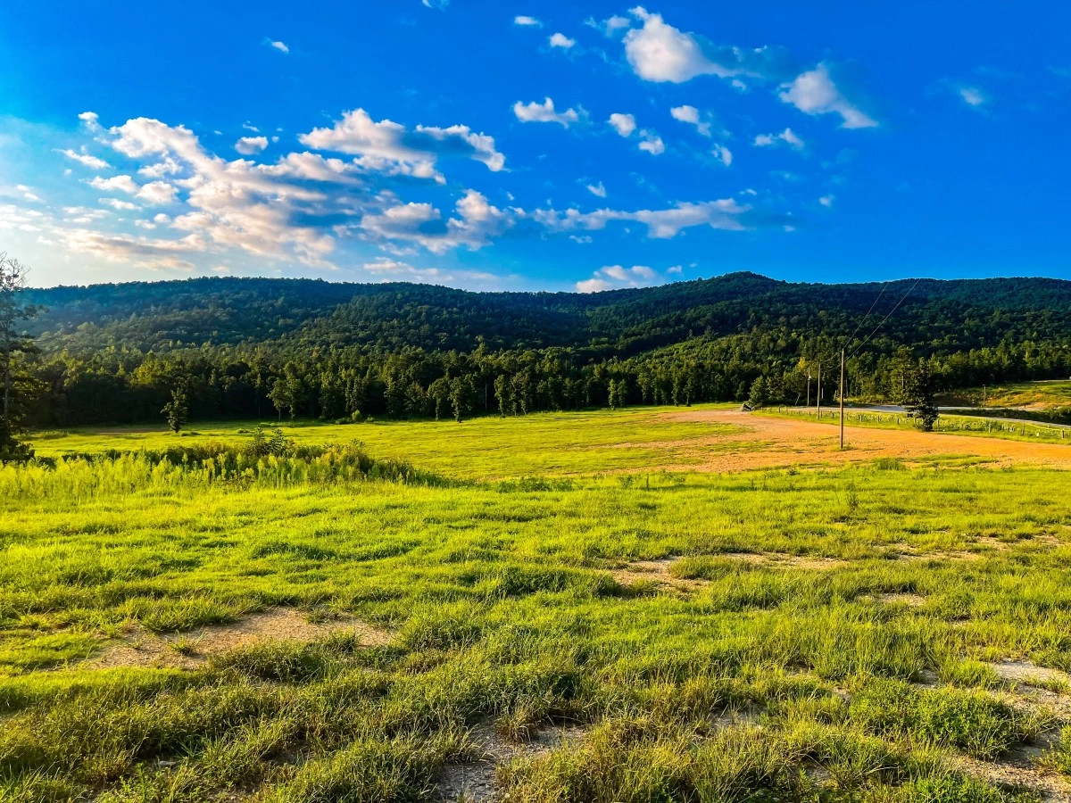 Two adults die and seven children are injured in accident vehicle off road in alabama