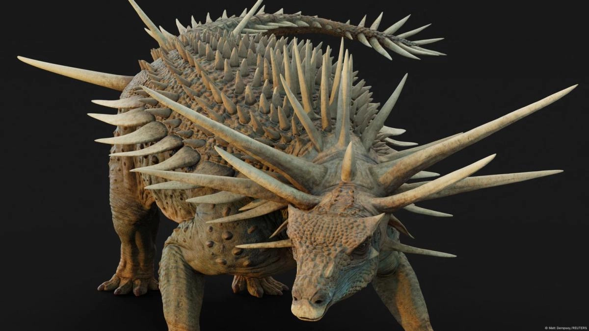 They discover in Morocco strange dinosaur with armor plagued of spikes