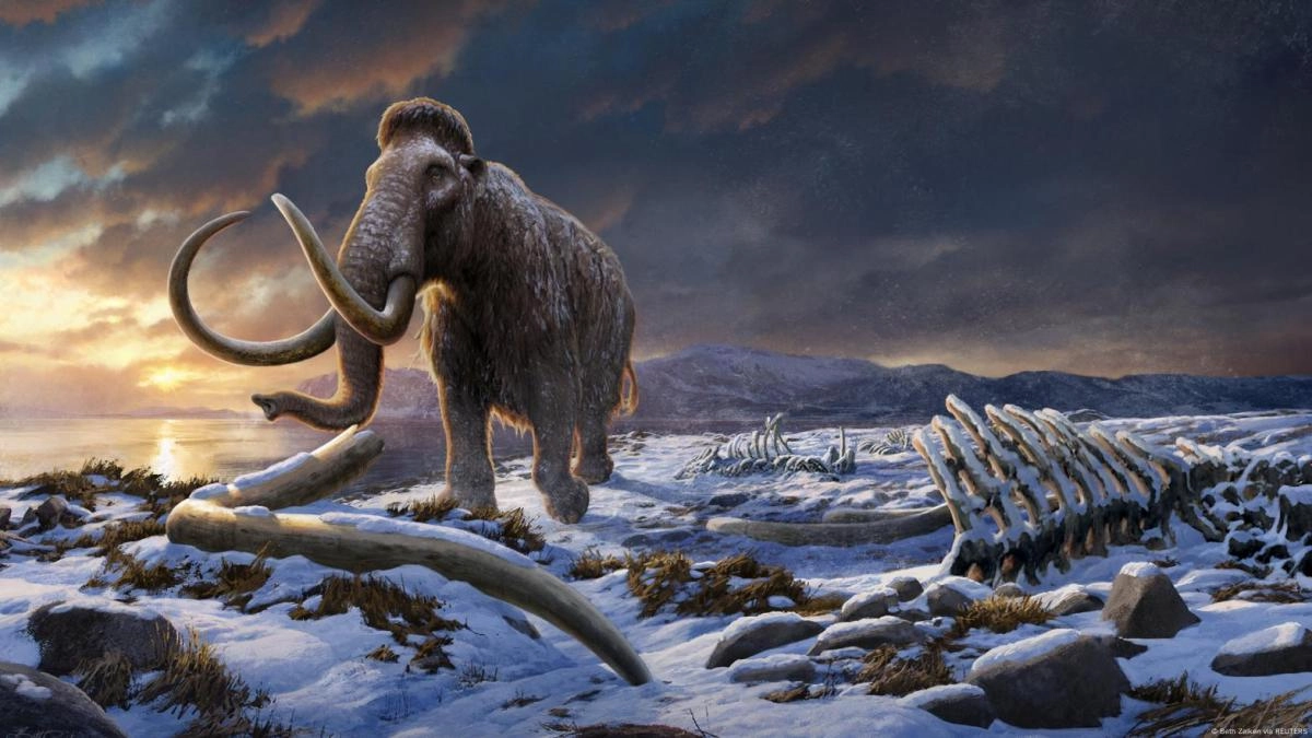 Mammut reveals the Microbial more old ever found