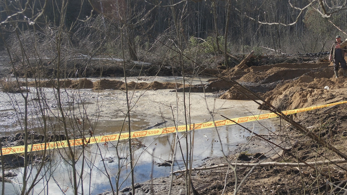 Record number of bodies found in Houston swamps generates alarm among residents