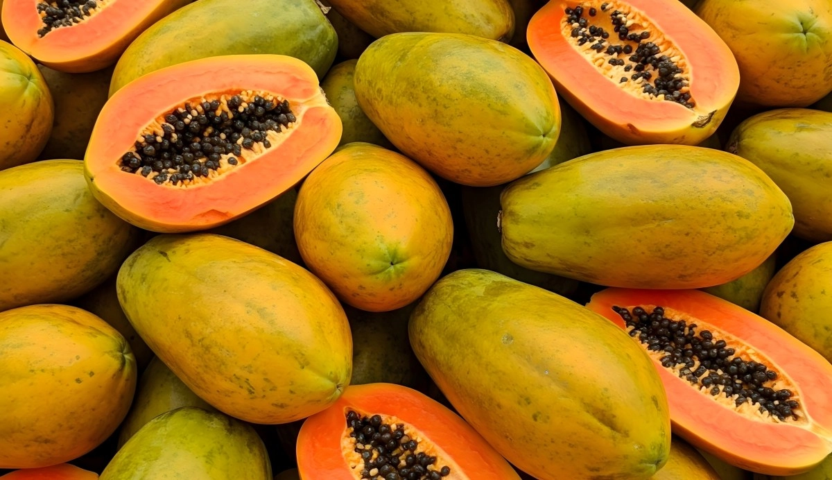 Papaya milky bomb fruit has as many health benefits as names that identify it