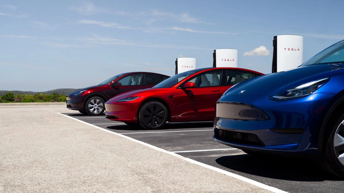 Hard on Tesla politics takes bill for Elon Musk