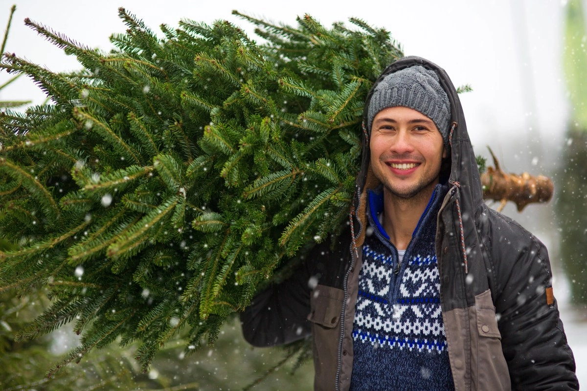 Tariffs would help natural Christmas trees sell better