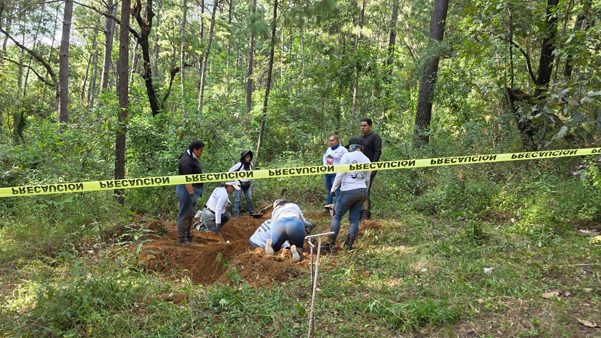 Deputy of Michoacn reported the finding of 4 bodies in a property that belonged to his family