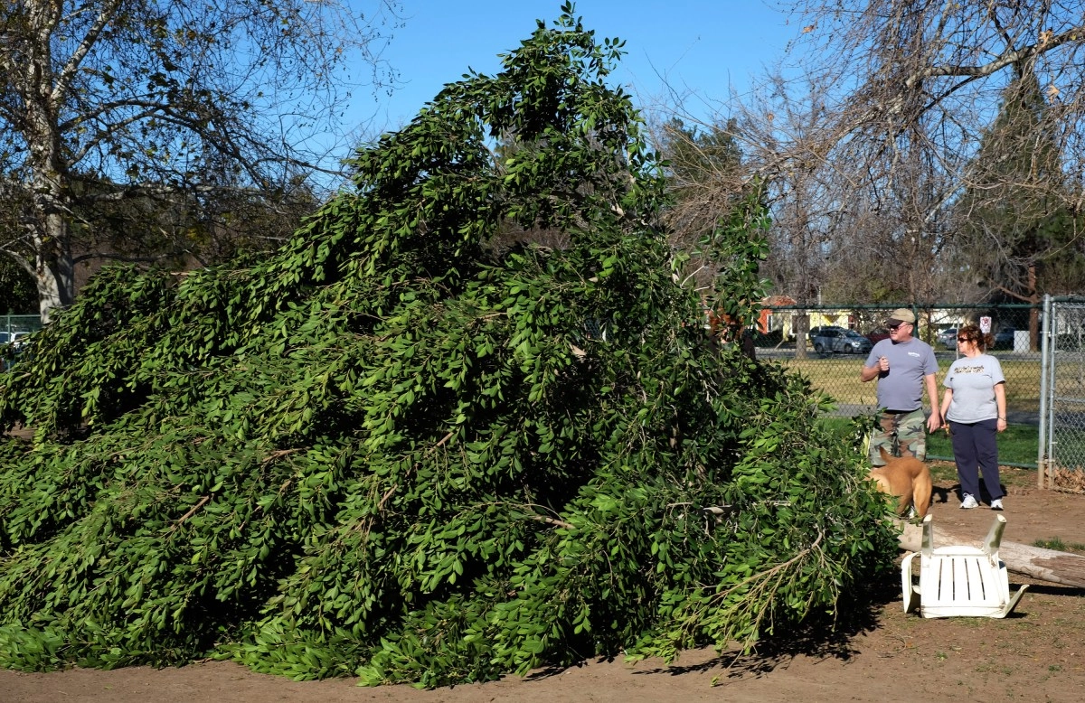 Alert dangerous winds and extreme cold this week in southern California