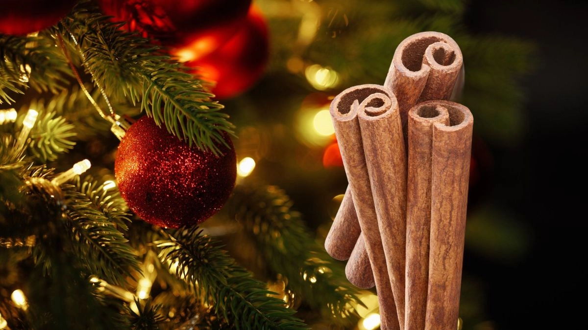 The reason why you should put cinnamon on the Christmas tree