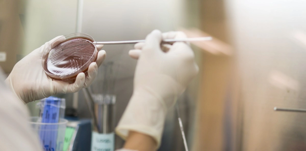 Singledose oral antibiotic developed for the treatment of gonorrhea