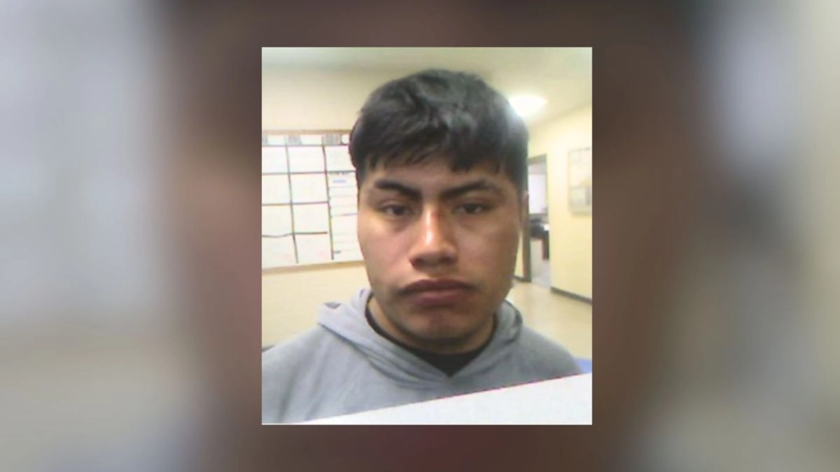 Immigrant charged with assault for biting an ICE agent when detained in Louisiana