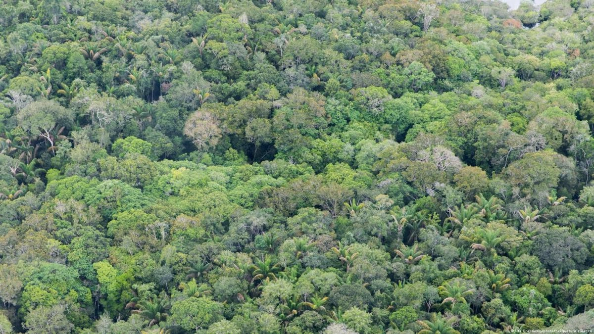 Ten years of the Paris Agreement what has been its environmental impact in Latin America and the Caribbean