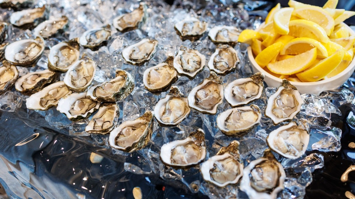 Raw oysters linked to salmonella outbreak infecting 64 people in 22 states