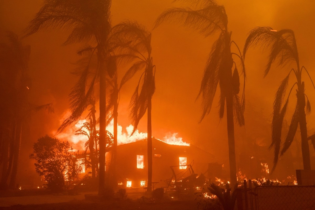 2025 Un ao de incendios y cacera inmigrante