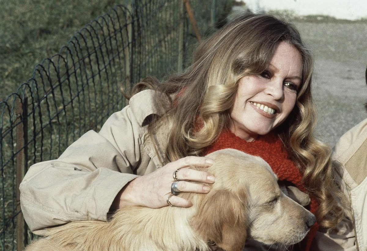 Brigitte Bardot fallece a los 91 aos dejando una huella compleja en el cine y la cultura
