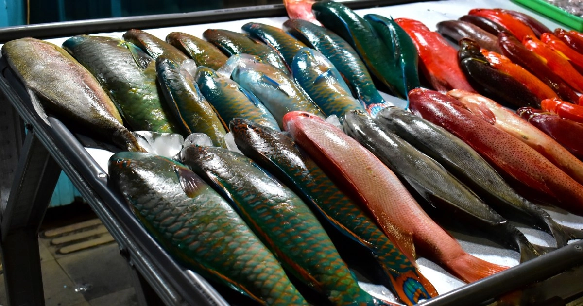 Pescados de consumo generalizado representan importante riesgo para la salud