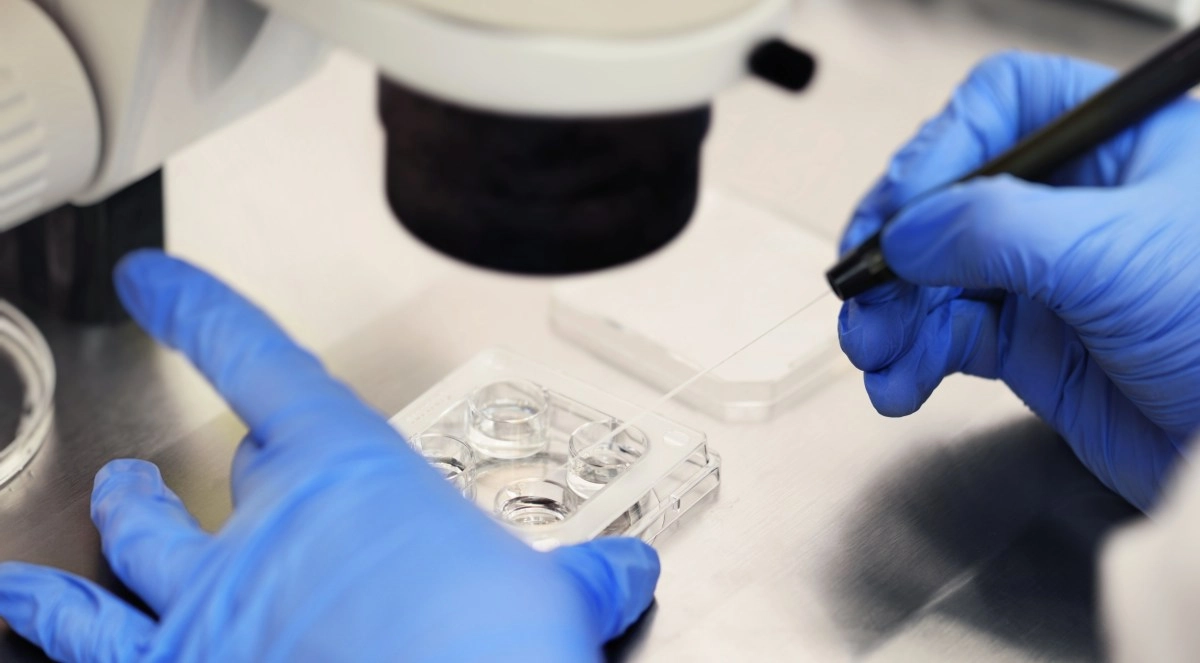 Nueva realidad de la maternidad soltera fertilizacin in vitro marca rcord en nmero de madres mayores de 40 aos