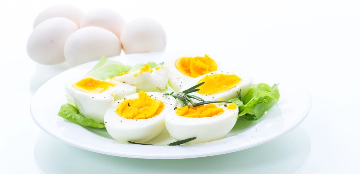Is egg the best protein provider