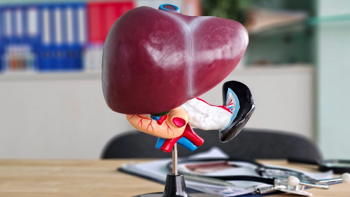 One in three people suffers from fatty liver and it can be transmitted from individual to individual