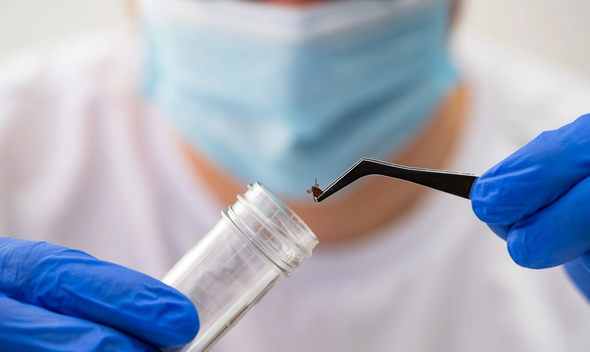 Vaccine against Lyme disease shows more than 70 efficacy