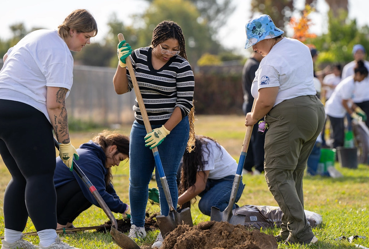 The California Service Corps seeks 10000 volunteers to work for the community