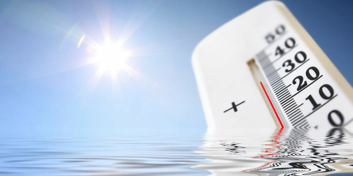 Heat waves and cardiovascular risk an alarming link