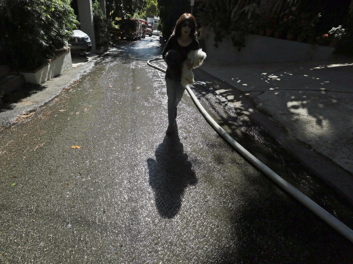 Hispanic from Los Angeles helps locate 78 year woman with dementia