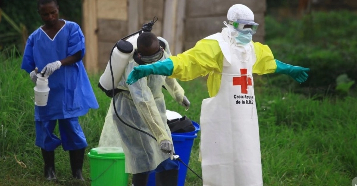 More about the Bundibugyo virus the Ebola species that is wreaking havoc a strain that has no vaccines or treatment